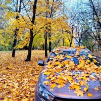 Осень :: Наталья 