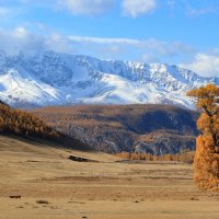 Когда приходит осень... :: владимир 