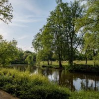 В весеннем парке... :: Николай Гирш В весеннем парке... :: Николай Гирш