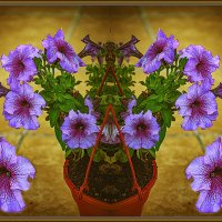 Фотозарисовка :: Владимир Кроливец