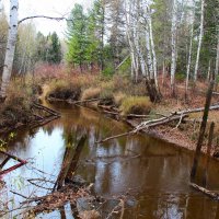 Нигия :: Сергей Никифоров Нигия :: Сергей Никифоров