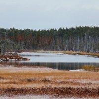 Озеро :: Сергей Никифоров