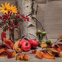 ... :: Светлана Тихонина ... :: Светлана Тихонина