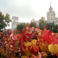 Яузские Ворота 14 октября :: Михаил Бибичков