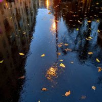 Ещё один дождливый вечер :: Татьяна [Sumtime]