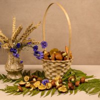 Осенние дары :: Людмила Павловна Крышковец