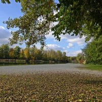 Осень жизни, как и осень года, надо не скорбя благословить... :: Галина 