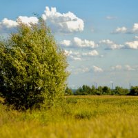 Как же хорошо - летом! :: Натали Королева