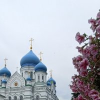 Собор Иверской иконы Божией Матери; :: Галина R...