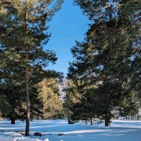 Зимняя сказка :: Георгиевич Зимняя сказка :: Георгиевич