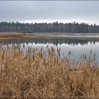 Осень :: **** vedin