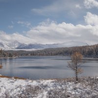 Киделю :: Sergey38 