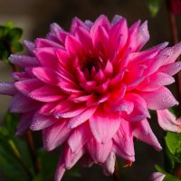 Доброе утро :: Юрий. Шмаков Доброе утро :: Юрий. Шмаков