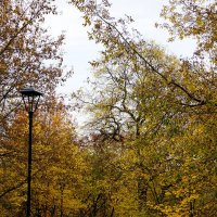 Осенний спуск :: Лариса Корж