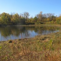 октябрь :: Елена Шаламова