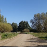 Октябрь :: Рита Симонова