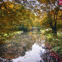 Парки Кельна в октябре :: Андроник Александр 