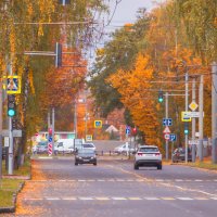 Осенняя улица Брянска :: Sergei Vikulov