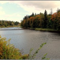 *** :: Aleksandr Gal