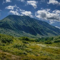 ... :: Жора Житников