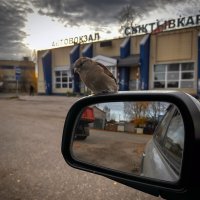 Сыктывкар :: Дмитрий Иванов