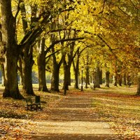 Осень — она не спросит, осень — она придёт :: Юрий. Шмаков Осень — она не спросит, осень — она придёт :: Юрий. Шмаков