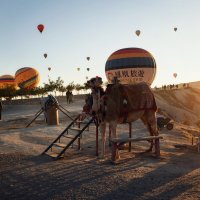 Каппадокия :: Лилия . Каппадокия :: Лилия .