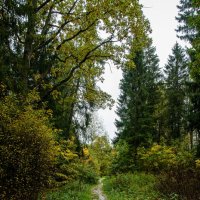 Тропинка :: Павел Катков