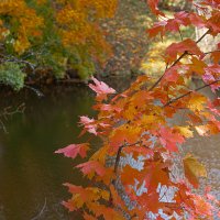 *** :: Геннадий Порохов