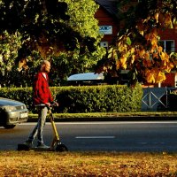 На скорости... :: Николай Саржанов