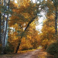 Петербургские дворики. :: Лилия * Петербургские дворики. :: Лилия *