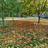 В парке! :: Надежда 