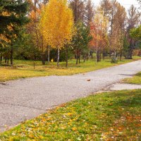 Осень в парке :: IRinA*** Осень в парке :: IRinA***