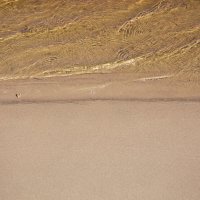 Фотография :: Денис Безногов