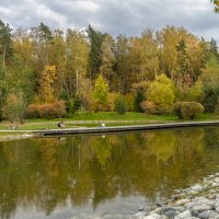 Осень в Мещерском парке :: Владимир Езеров 