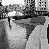 Черно-белая фотография :: Любимова Ольга 