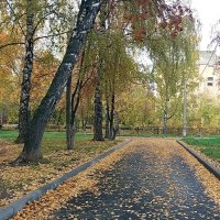 Осень листьями шуршит :: Galina Solovova