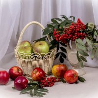 Дары осени :: Людмила Павловна Крышковец