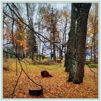 на Покрова :: Любовь на Покрова :: Любовь