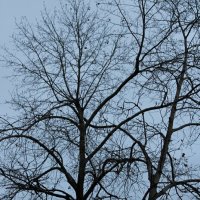 Вечность....Движение жизни... :: Мария 