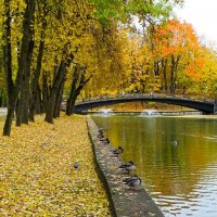 Осенний сад. :: Милешкин Владимир Алексеевич Осенний сад. :: Милешкин Владимир Алексеевич