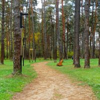 Осенний лес. :: Милешкин Владимир Алексеевич Осенний лес. :: Милешкин Владимир Алексеевич