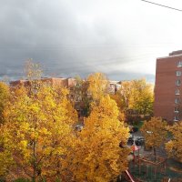 Золотые липы в моём дворе :: Надежда 