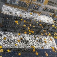 Городская осень :: Валерий Иванович