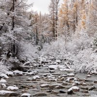 Алтай :: Sergey38 