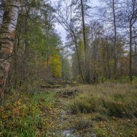 Октябрьское :: Сергей Цветков