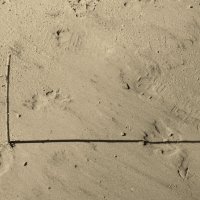 Фотография :: Денис Безногов