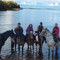 На Выборгском заливе. :: Ольга 