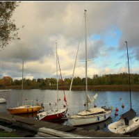 *** :: Aleksandr Gal