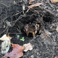 Ты, если чё, заходи!  :-) :: Андрей Заломленков